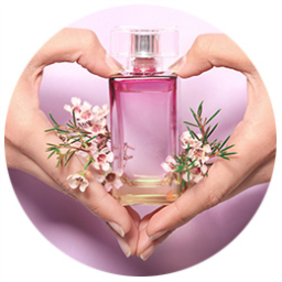 Women Perfume