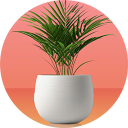 Plants