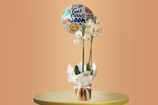 Orchid With Get Well Soon Balloon 