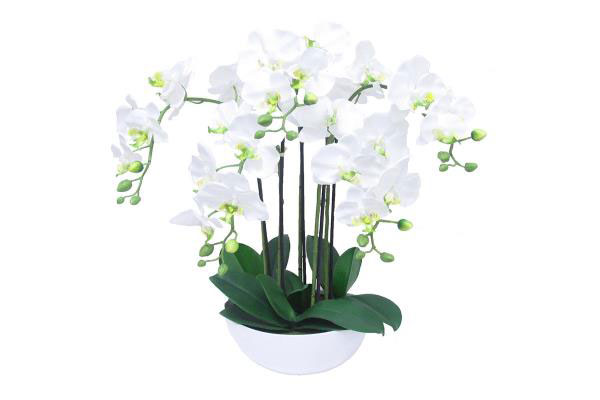 Arrangement Of 2 White Orchids | Wedding Anniversary present