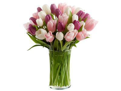 Pink Shades Tulips Bouquet | Wedding Anniversary present