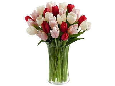 White And Red Tulips Bouquet | Wedding Anniversary Present