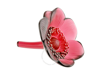 Red Anemone Flower| Home Decoration