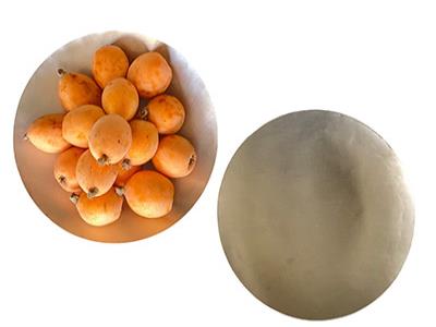 Round Copper Plate - Set of 2