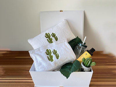 Cactus Care Hamper|Gift for Him