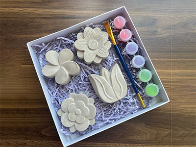 Flower Coloring Clay Set|Present