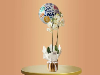 Orchid With Get Well Soon Balloon 