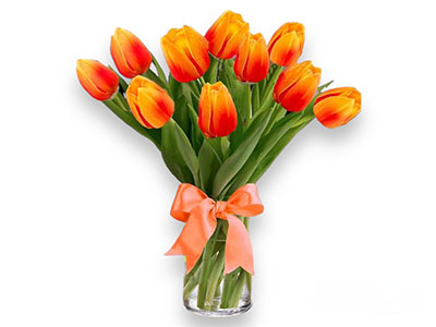 Orange Tulips Bouquet (10)