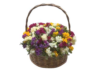 Spring Garden Basket | Birthday Present