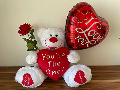 Teddy Gift Bundle| Giftonclick
