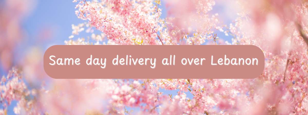 April-01-2025-Delivery Banner