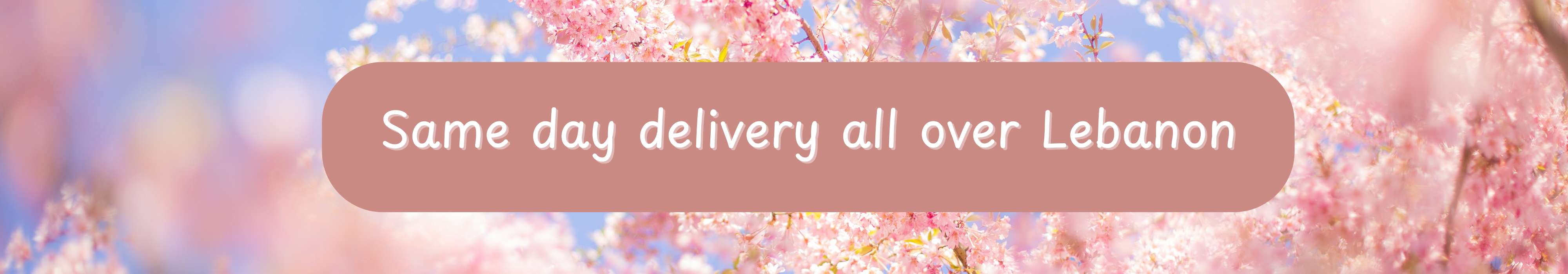 April-01-2025-Delivery Banner